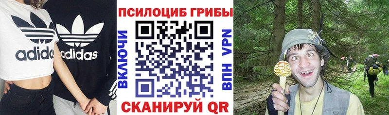 Псилоцибиновые грибы Cubensis  Нижний Новгород 