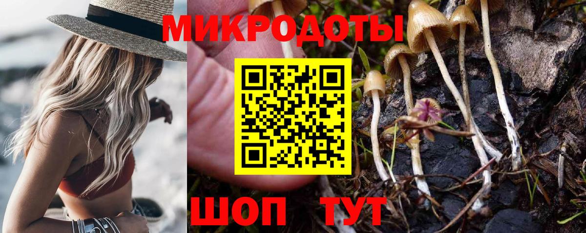 Галлюциногенные грибы Psilocybe Нижний Новгород