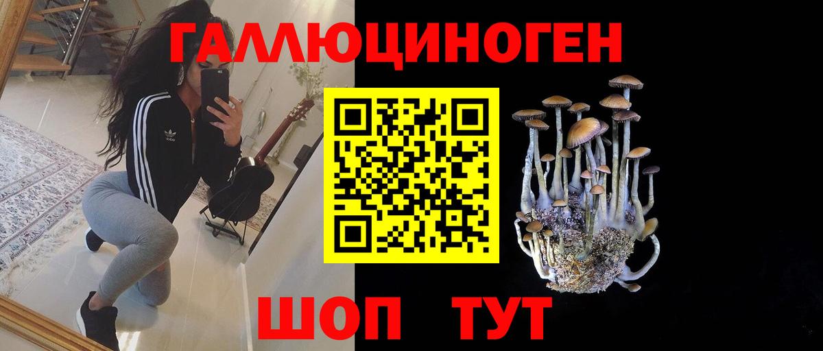 Галлюциногенные грибы Psilocybine cubensis  Галлюциногенные грибы Psilocybine cubensis  Вход с VPN  где найти   Нижний Новгород 